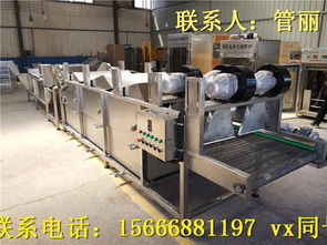 蔬菜加工機械全攻略 菠菜、腌黃瓜與野菜清洗設備的應用